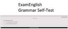Exam English - Grammar Self Test