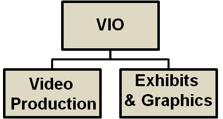VIO Organization Chart